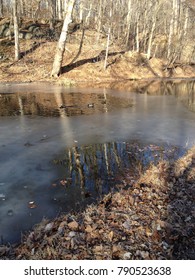 Trail Hiking Along C&O Canal, Billy Goat Trail And Potomac River.