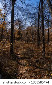 A Trail In The Hudson Valley, Covered In Fall Leaves