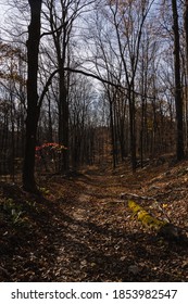 A Trail In The Hudson Valley, Covered In Fall Leaves