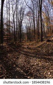 A Trail In The Hudson Valley, Covered In Fall Leaves