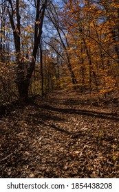 A Trail In The Hudson Valley, Covered In Fall Leaves