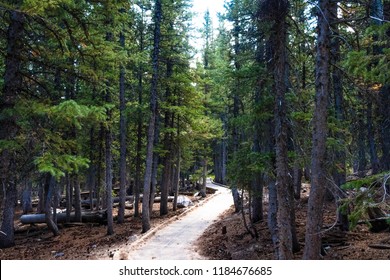 A Trail Inside Great Basin National Park