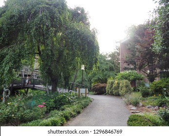 Trail In Lake Anne, Reston, Virginia