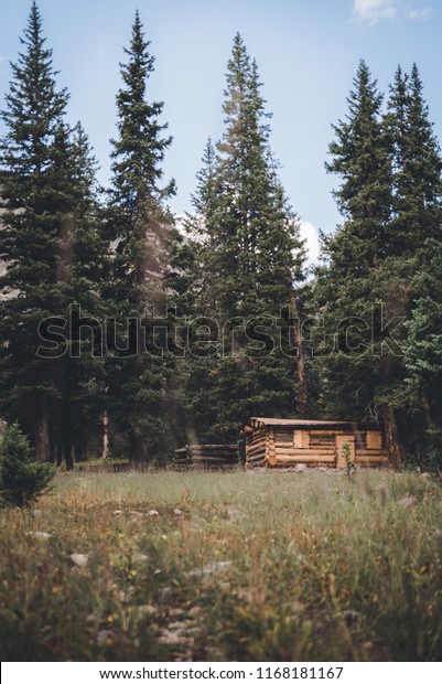 Trail Leading Cabin Woods Near Vail Stock Photo Edit Now 1168181167