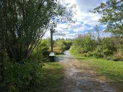 A Trail Leading Into A Dense Vegetation Area With A Sign Saying Wetlands Off To The Side.