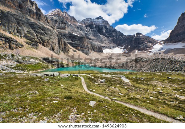 Trail leading to Lake Opabin, another\
scenic lake along the Lake O\'Hara trail\
network.