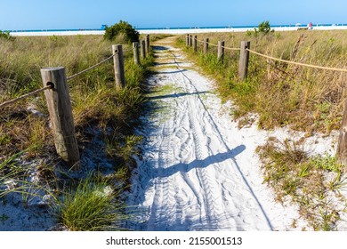 Trail Leading to the White Sand of Siesta Key Beach, Siesta Key, Florida, USA