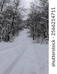 A trail leads through freshly fallen snow at High Point State Park, NJ, copy text space