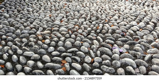 A Trail Made Of Small Stones For Foot Massage, Black And White Smooth Embossed Cobble Stones Of Garden Walkway For Foot Reflexology Massage, Close-up Top View