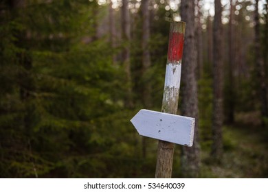 A Trail Marker For Hikers