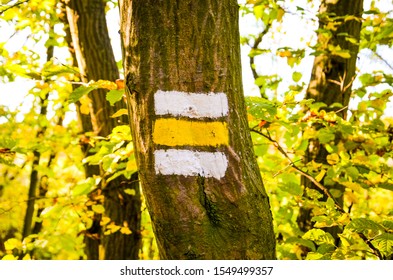 Trail marker with white and yellow stripes painted on a tree trunk in the forest. Information sign giving direction for the hikers on a hiking trail. Trailblazing, waymarking for tourists. - Powered by Shutterstock