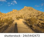 Trail to Mastadon Peak in Joshua Tree National Park, California