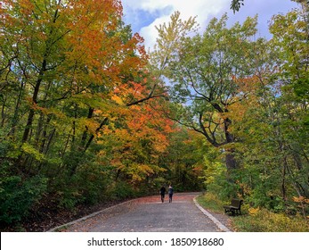 Trail At Mount Royal Park