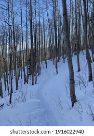 Trail To Mt Elbert From South Mount Elbert Trailhead, Colorado