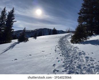 Trail To Mt Elbert From South Mount Elbert Trailhead, Colorado