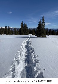 Trail To Mt Elbert From South Mount Elbert Trailhead, Colorado