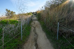 Trail On The Mountain In Baldwin Park In Culver City, Los Angeles, California In  Sunny Day With Blue Skies And Some Green Grass And Dried Plants All Around The Path 
