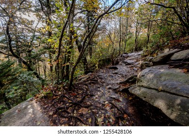 Trail Path On Grandfather Mountain,NC,USA