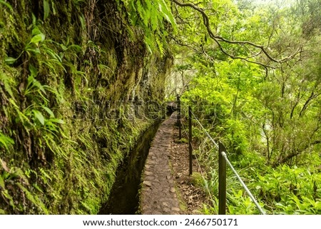 Trail path of the PR9 Levada do Caldeirão Verde hiking trail, Madeira island, Portugal.