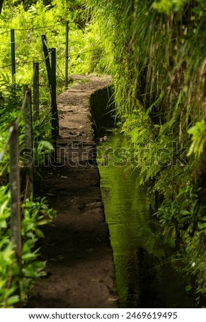 Trail path of the PR9 Levada do Caldeirão Verde hiking trail, Madeira, Portugal.