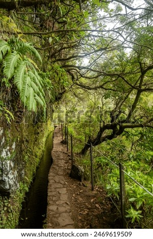 Trail path of the PR9 Levada do Caldeirão Verde hiking trail, Madeira, Portugal.
