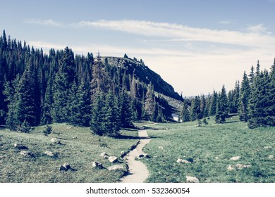 Trail path// Rocky Mountain