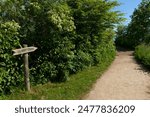Trail path to scenic view of bluff