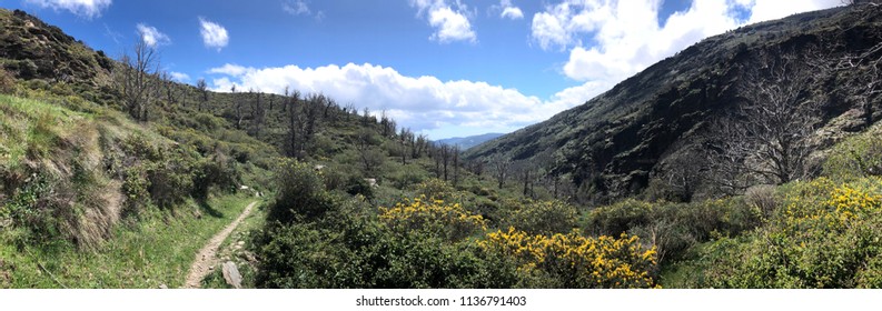 Trail Path In Sierra Nevada, Spain.