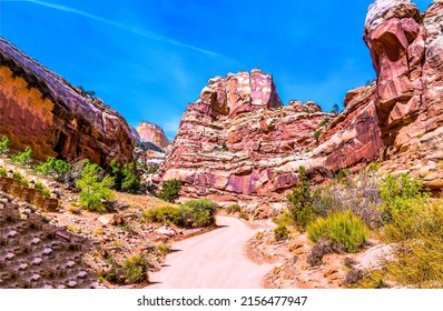 The trail in the red canyon among the rocks. Red rock canyon pass. Trail in canyon pass. Canyon scene
