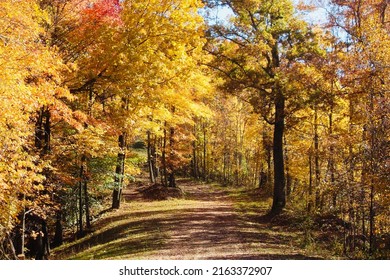 Trail Ride Located In Knott Co KY.