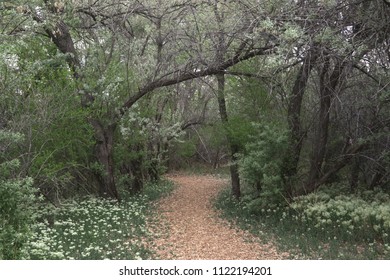 Trail At Riverside Nature Center, Farmington, New Mexico