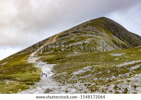 Trail, Rocks and vegetation at Croagh Patrick mountain with Westport in background, Westport, Ireland