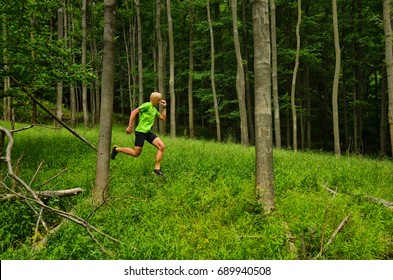 Trail runner run through green forest in beautiful nature - running concept photo
