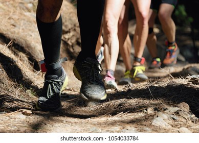 10,987 Trail Running Group Stock Photos, Images & Photography ...