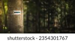 Trail sign on a tree in the forest. Long horizontal photo with space for text.