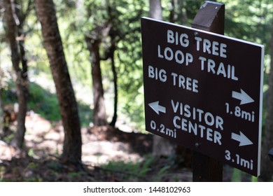 Trail Sign At The Oregon Caves National Monument