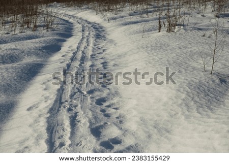 Trail in the snow. Frozen Ski Trail. Footprints in a snow-covered field. Cross-country skiing in the wilderness.
