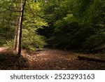 A trail at Spring Valley Nature Preserve near Granville Ohio. 