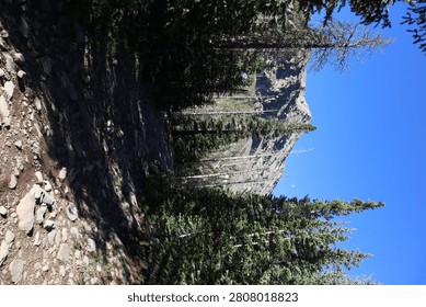 Trail switchbacks past standing dead trees beneath a rugged peak