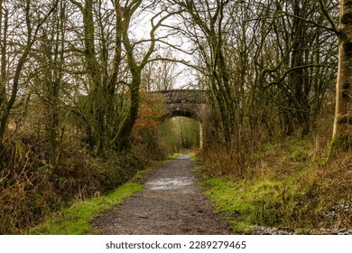 Trail through a broadleaf woodland in winter in Scotland, with a bridge in the background - Shutterstock ID 2289279465