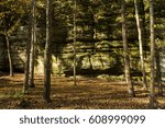 Trail through the canyon during Fall/ Autumn as the morning light shines through.  Starved Rock State Park, Illinois, USA.