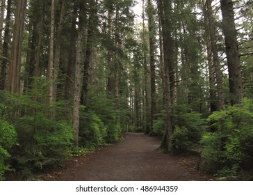 Trail Through The Forest At Sitka National Historical Park, Sitka, Alaska