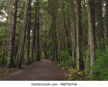 Trail Through The Forest At Sitka National Historical Park, Sitka, Alaska