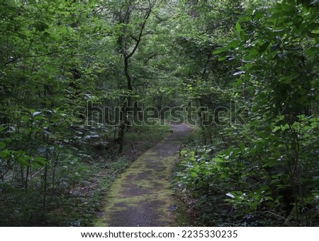 Trail through the forest at Walter B. Jacobs Memorial Nature Park, Shreveport, Louisiana