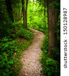 Trail through lush green forest in Codorus State Park, Pennsylvania.