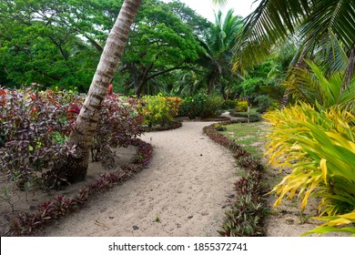 A Trail Through A Lush South Pacific Resort Garden Shows The Detail Given To Elegance.