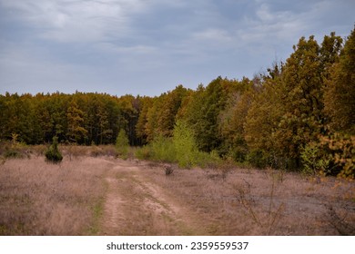 A trail through the middle of a dry meadow in the autumn season. Wild place close to the forest far from civilization 