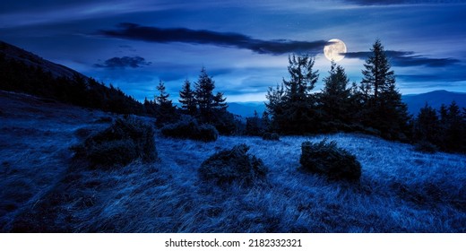 trail through mountain hill at night. landscape with trees on the meadow with weathered grass in full moon light. ridge in the distance beneath a cloudy sky. magical scenery of carpathians - Powered by Shutterstock