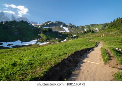 Trail Through Mt Rainier National Park In Summer, In The Paradise Valley Area