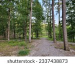 Trail through Trees in Ouachita National Forest, Arkansas
